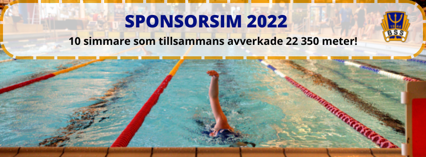 image: Sponsorsim 2022 - sammanfattning